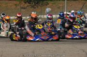DSC_0292 (2)